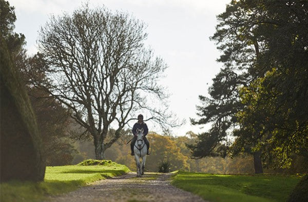 Take a trot down memory lane.