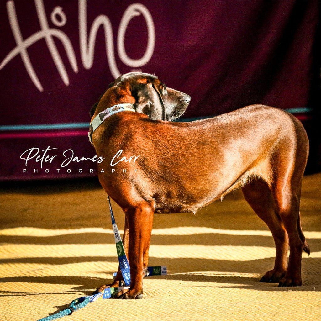 All About Peter James Carr Photography