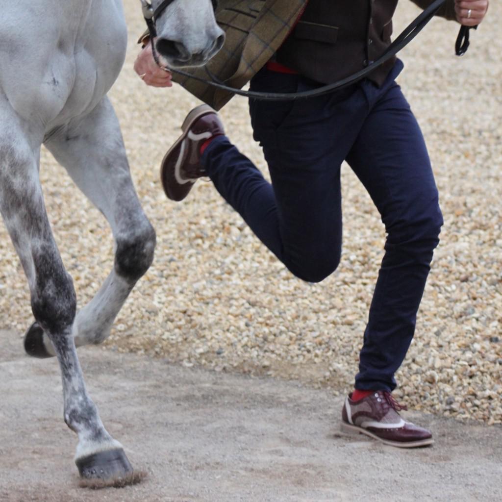 How to win the Best Dressed at the trot up