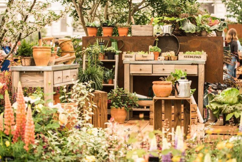 Sophie Callahan at the Chelsea Flower Show