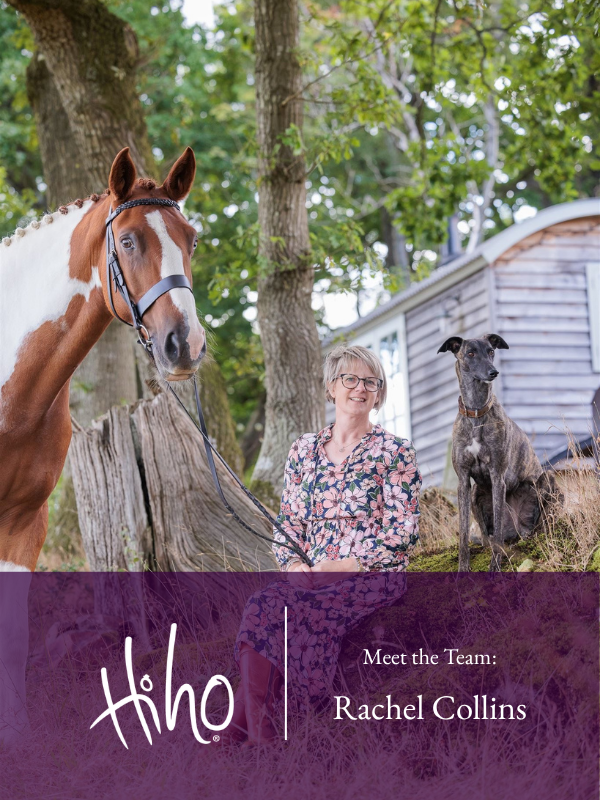 Meet the Team: Rachel Collins