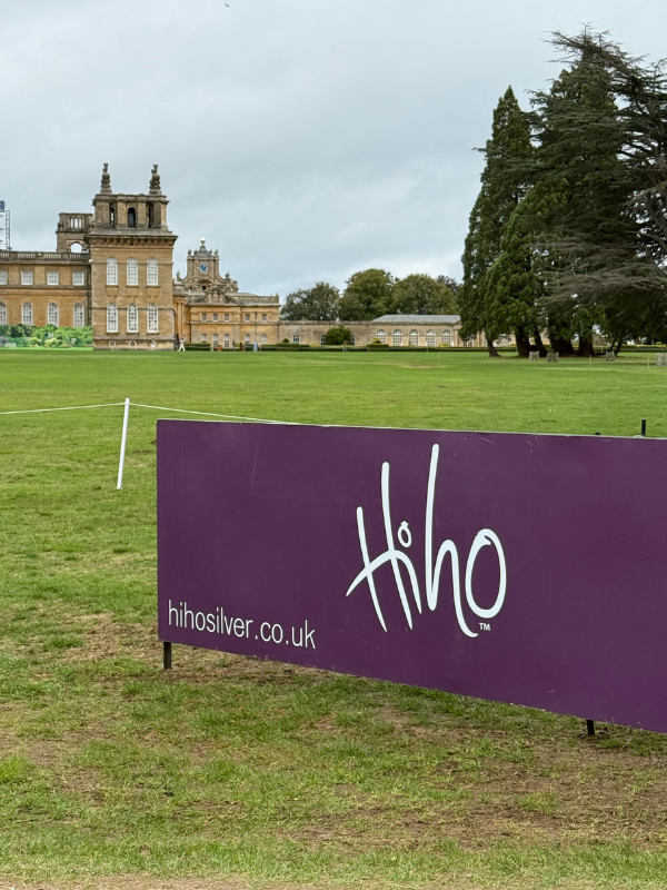 Blenheim Awaits: Charlotte's Selection
