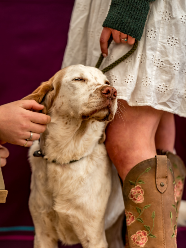 For the Love of Our Dogs