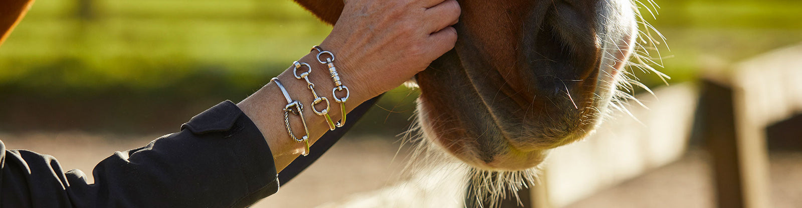 Equestrian Collection
