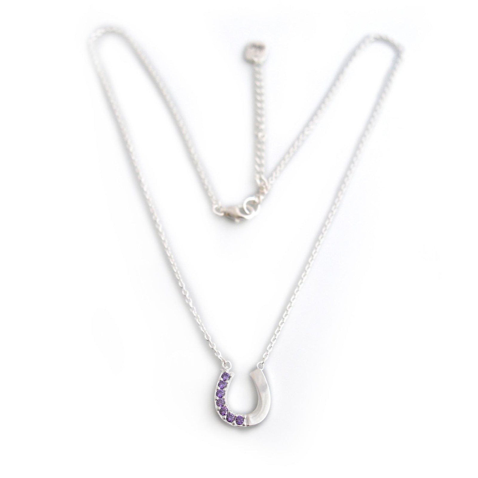 Exclusive Amethyst CZ & Sterling Silver Horseshoe Necklace