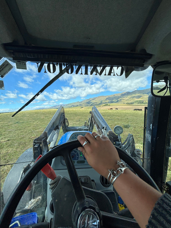 Hiho On the Farm