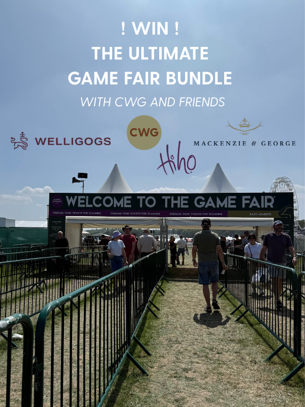 Win the Ultimate Game Fair Prize Bundle