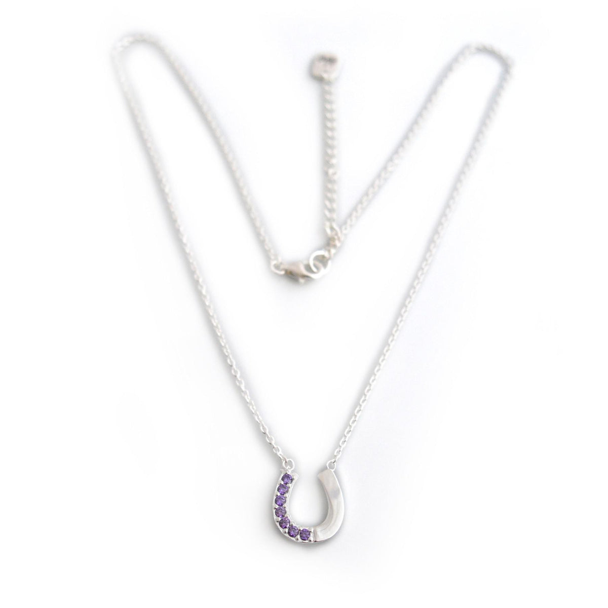 Exclusive Amethyst CZ &amp; Sterling Silver Horseshoe Necklace