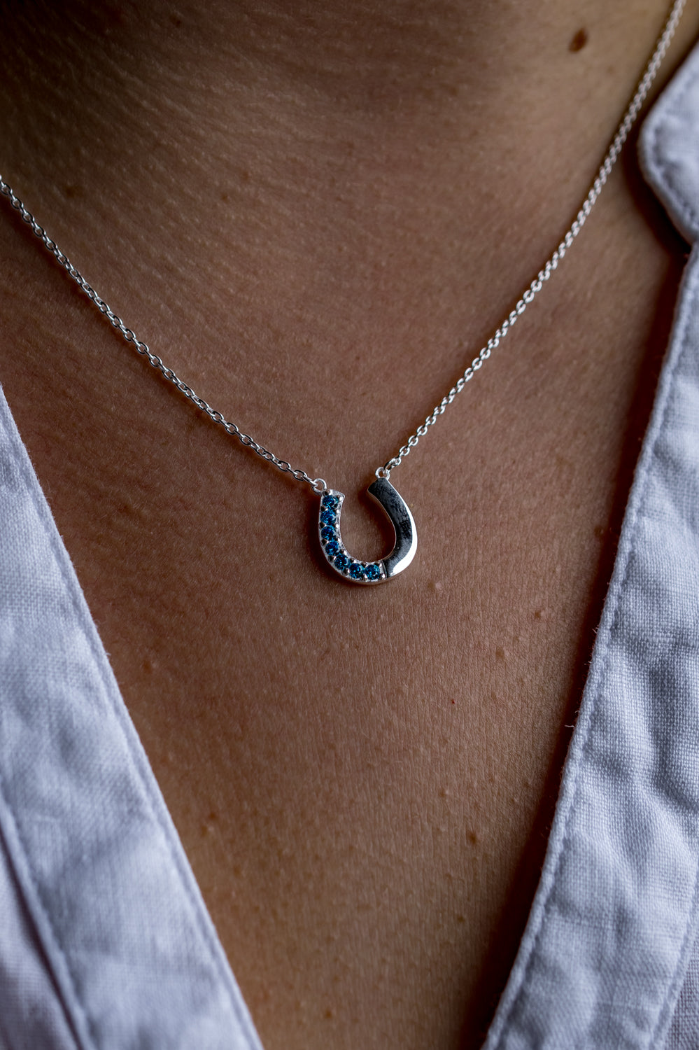 Exclusive Turquoise CZ & Sterling Silver Horseshoe Necklace