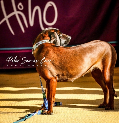All About Peter James Carr Photography